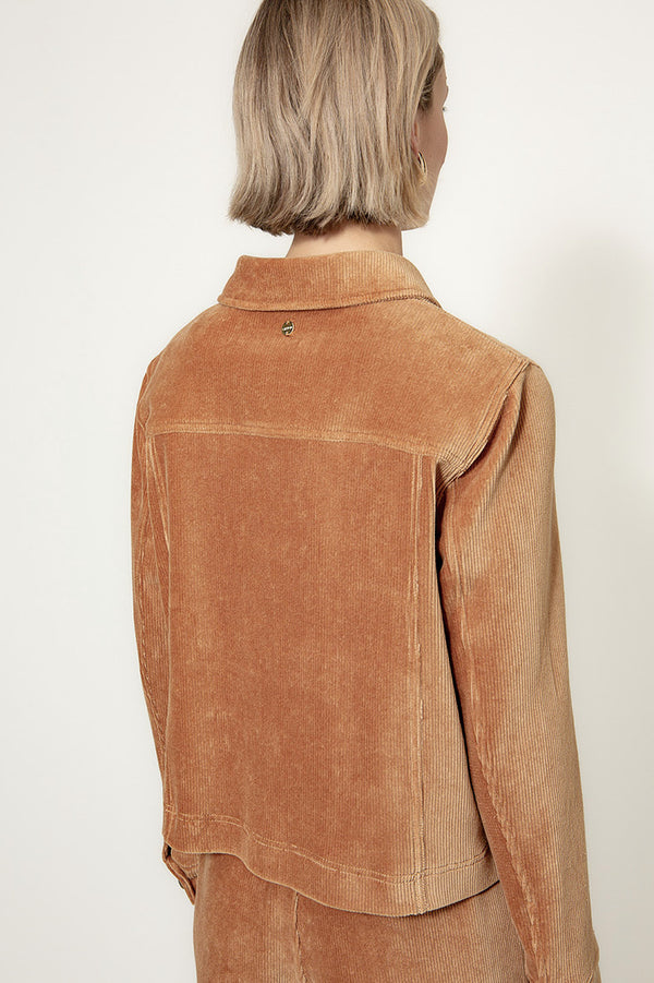 Jersey corduroy jacket | Cognac