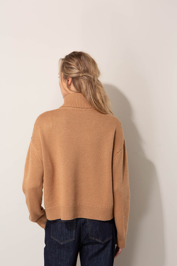 Rollkragenpullover mit Zopfmuster