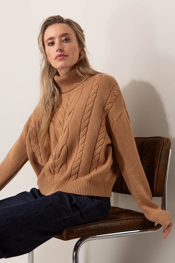 Rollkragenpullover mit Zopfmuster